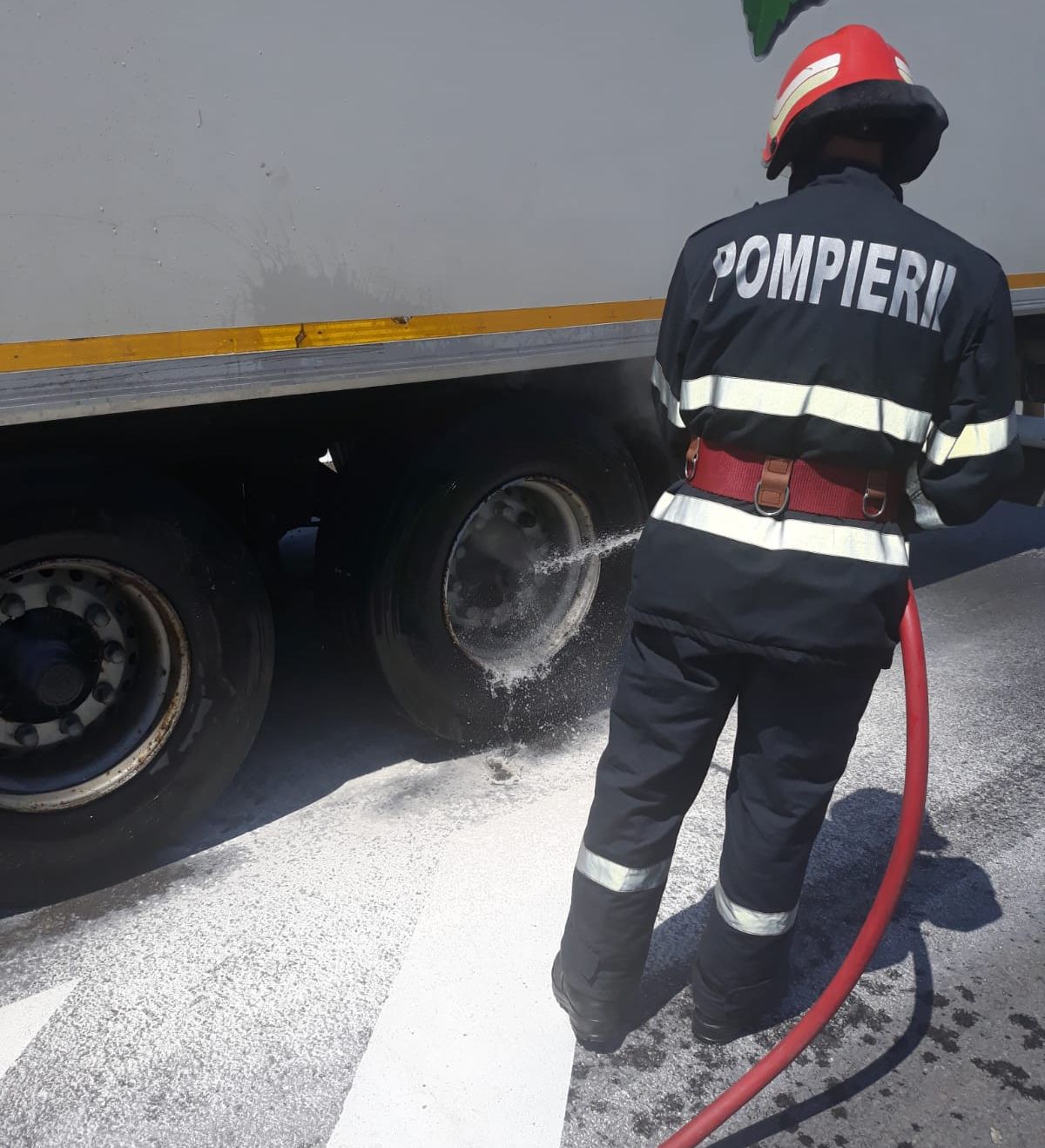 870d0e31-946c-48dd-ada9-52b108512e9b