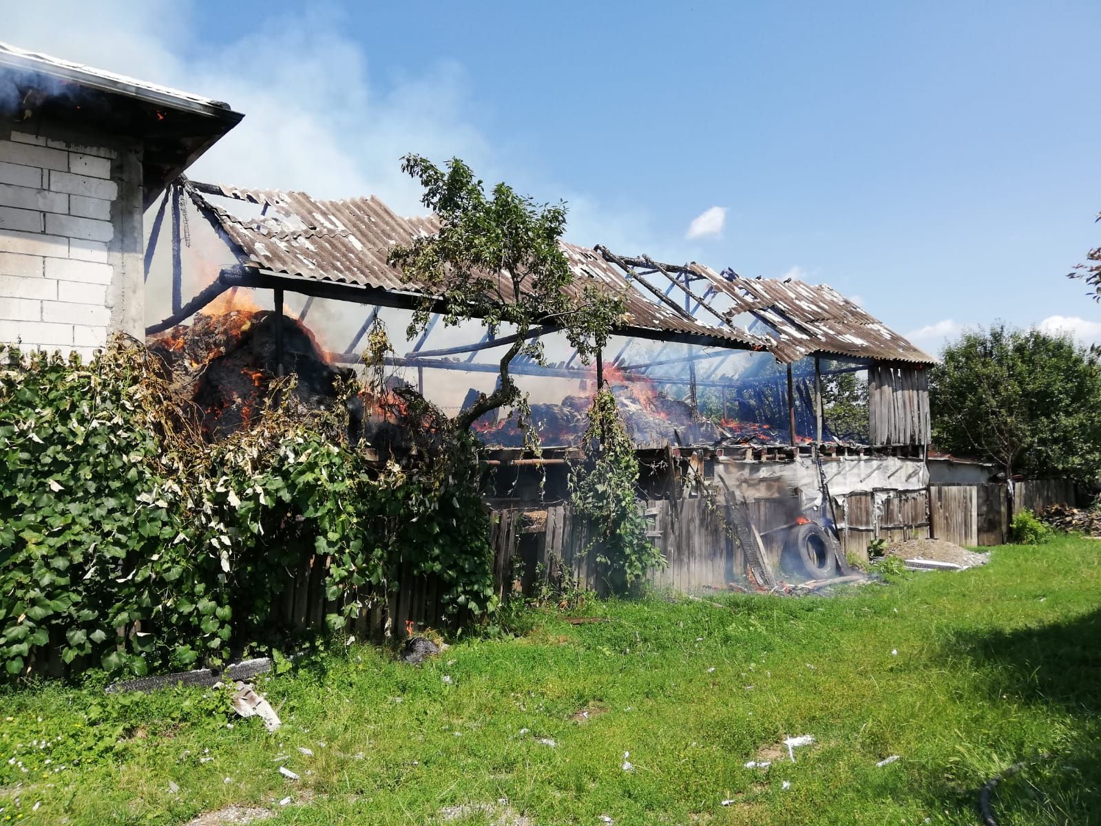 8de29039-d98e-4dfc-90af-45333be9eba1