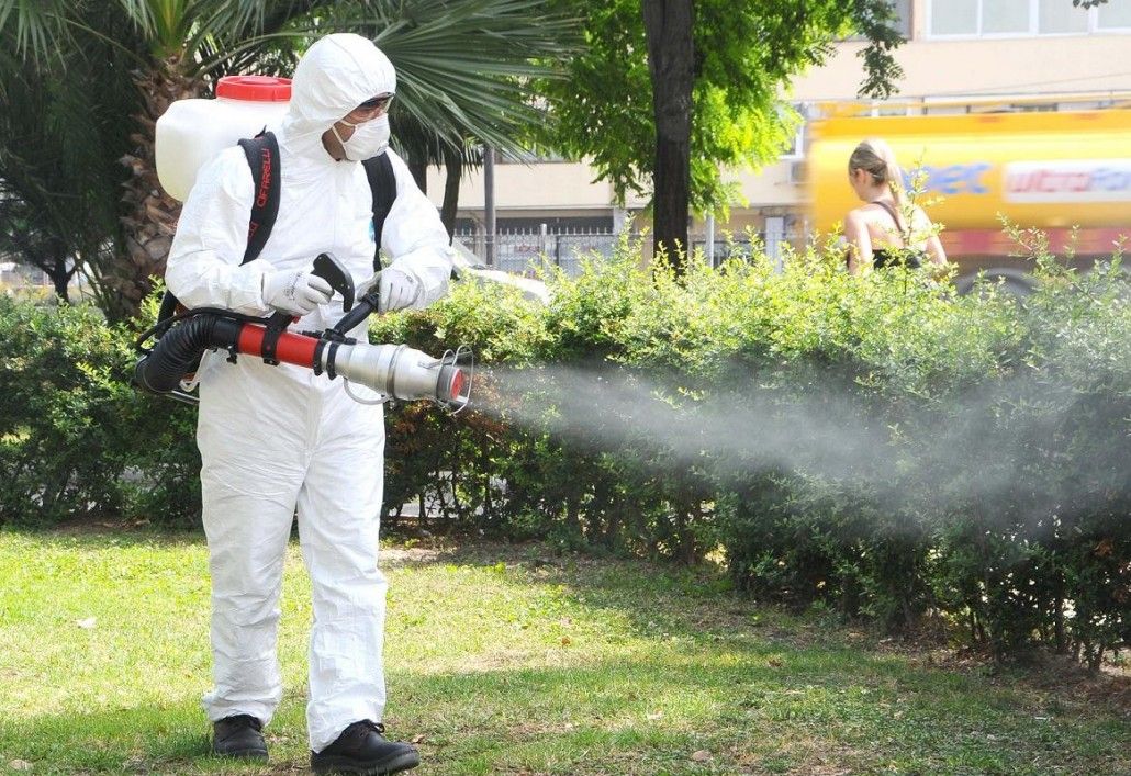 dezinsectie terestra-2