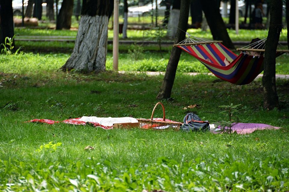 traditia picnicului