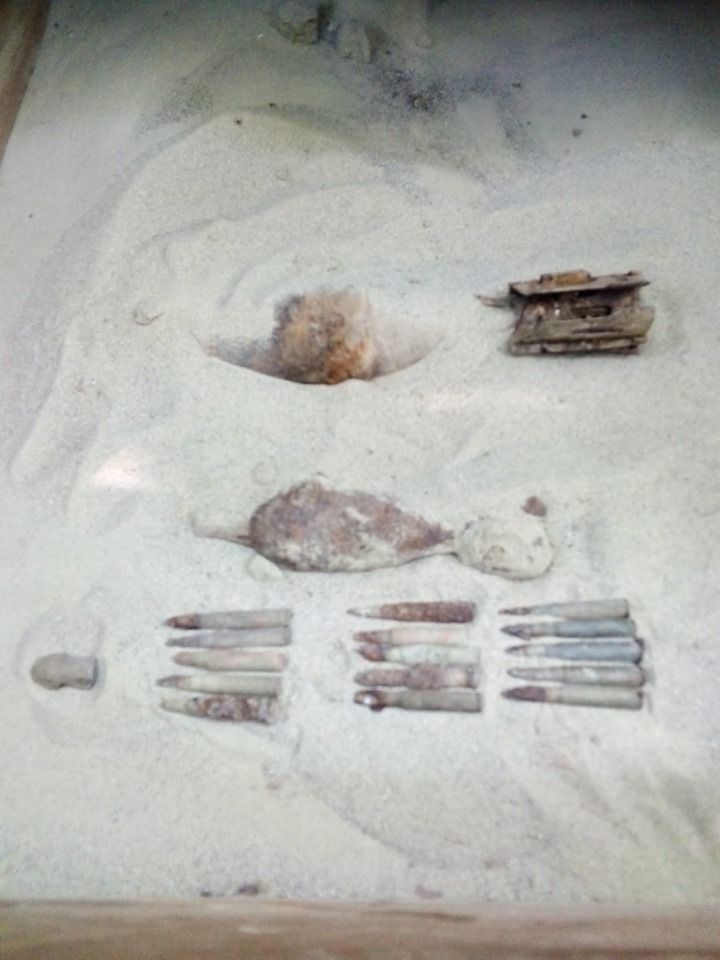 67966551_1114004868802458_1618854060981485568_n