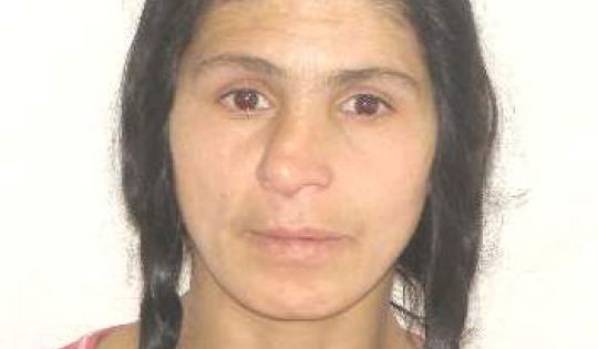 big_trandafir_floarea