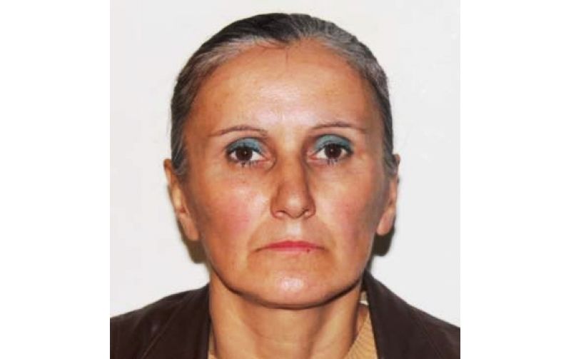 big_olaru_teodora_dispĂrutĂ - Copy