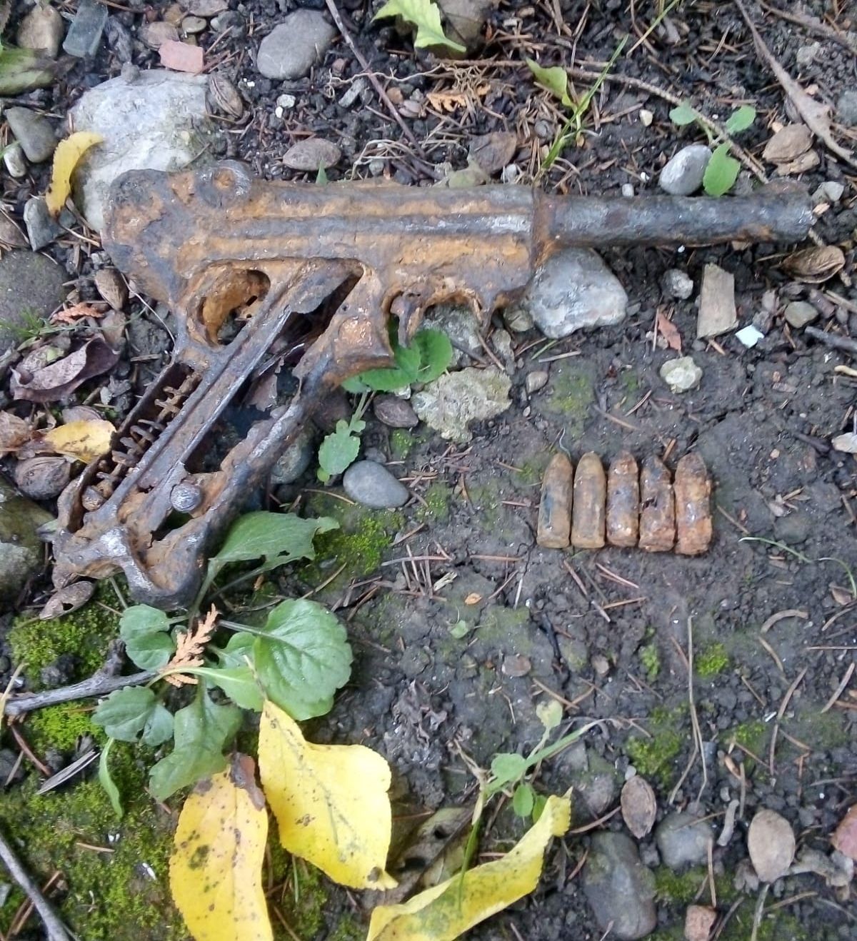 captura-inedita pentru un pescar pistol