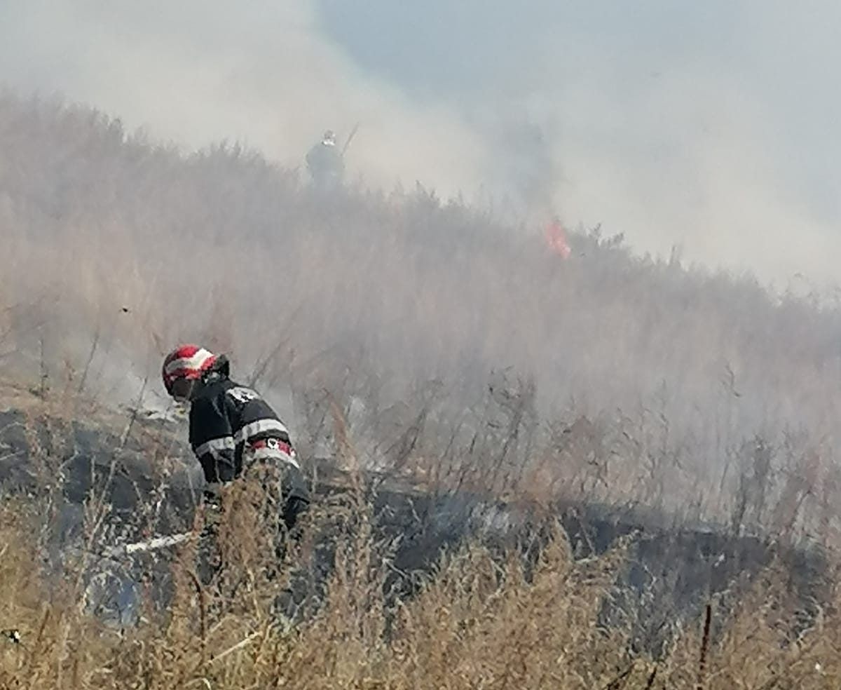 incendiu vegetație uscata
