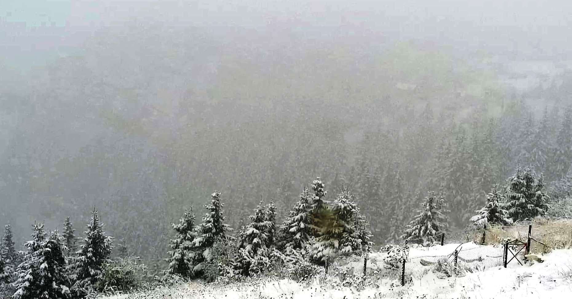 ninsoare-zapada-ceahlau-dochia-4