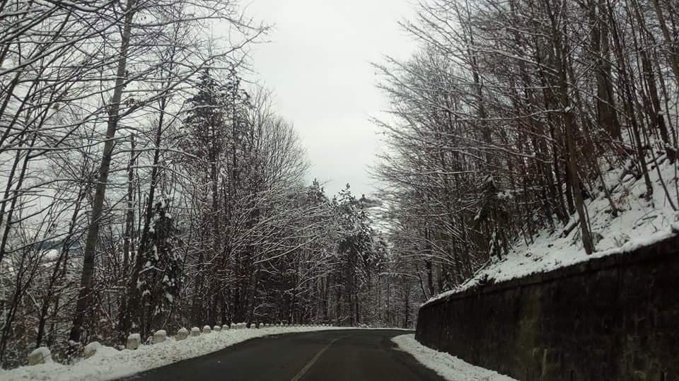 zapada drum ninsoare