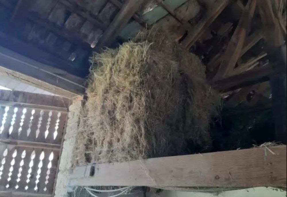 Motivul pentru care un tânăr a fost găsit de mascați ascuns în pod, sub fân