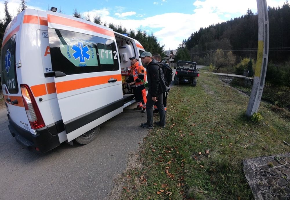 Turistă atacată de un roi de albine sălbatice în Masivul Ceahlău
