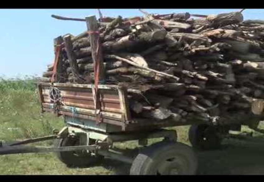 Transporta lemne furate cu o remorcă neînmatriculată. A fost depistat de polițiști