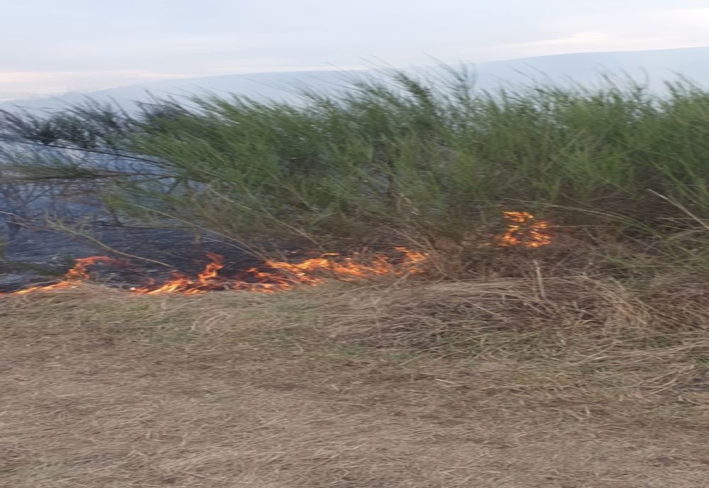 Weekend-ul incendiilor de vegetație uscată. Zeci de hectare făcute scrum (FOTO)