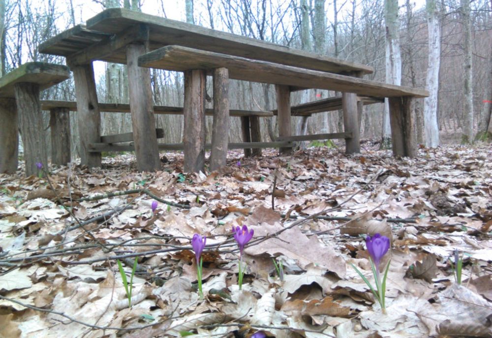 Vremea se va menține deosebit de caldă pentru această dată, deși valorile termice vor scădea ușor față de ziua anterioară