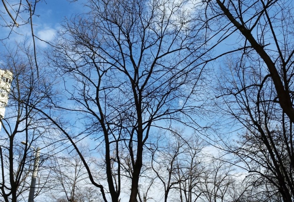 Vreme caldă în Neamț