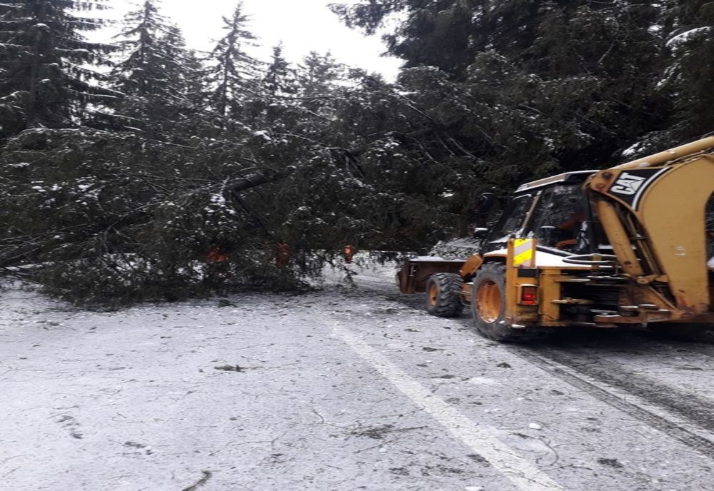 Se lucrează intens la degajarea copacilor căzuți în zona Lacu Roșu. Drumurile naționale din Moldova, deschise circulației (FOTO)