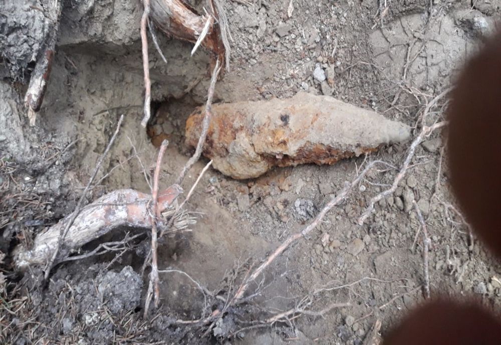 Muniție provenită din Al Doilea Război Mondial, descoperită în pădurea Nemțișor (FOTO)