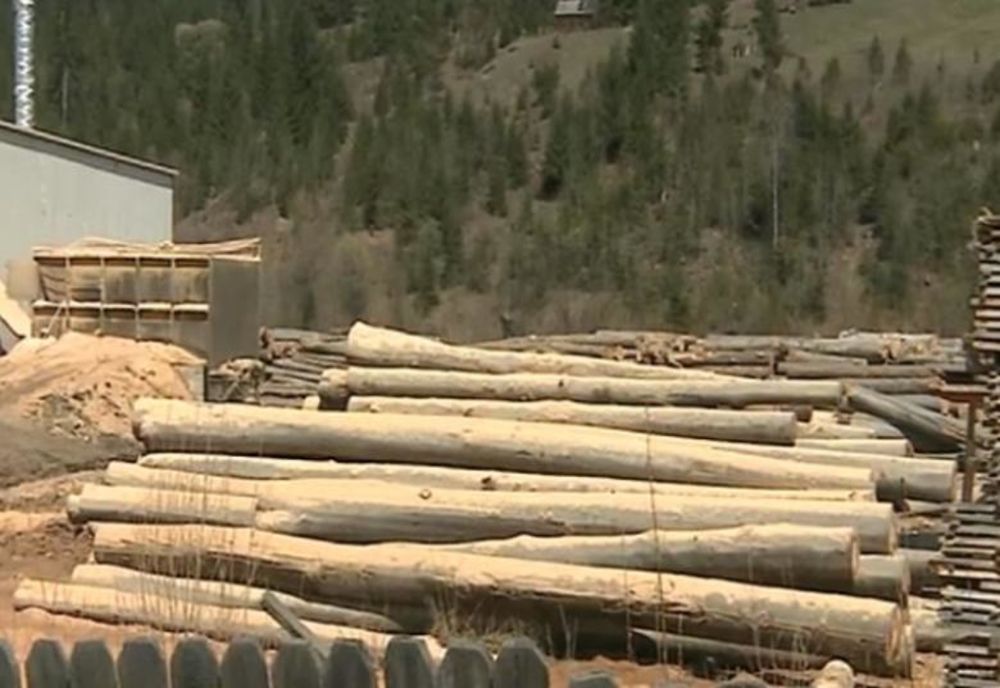 Material lemnos în valoare de peste 27.000 de lei, confiscat de polițiști