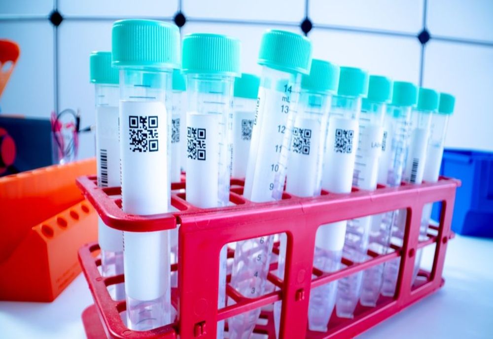 Rezultate negative la testul CORONAVIRUS pentru persoanele de la ISJ Neamț