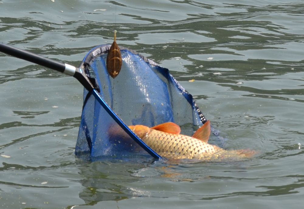 Amenzi usturătoare pentru pescuit ilegal