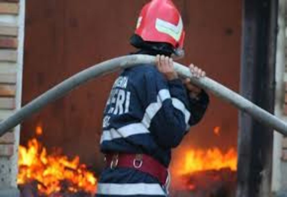 Animale arse de vii într-un incendiu la Dămuc 