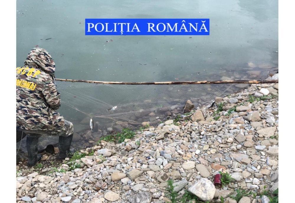 Braconieri amendați și cu uneltele confiscate