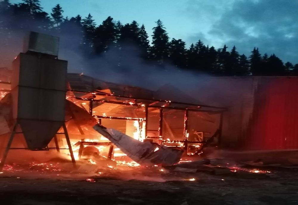 Gatere și hală făcute scrum!