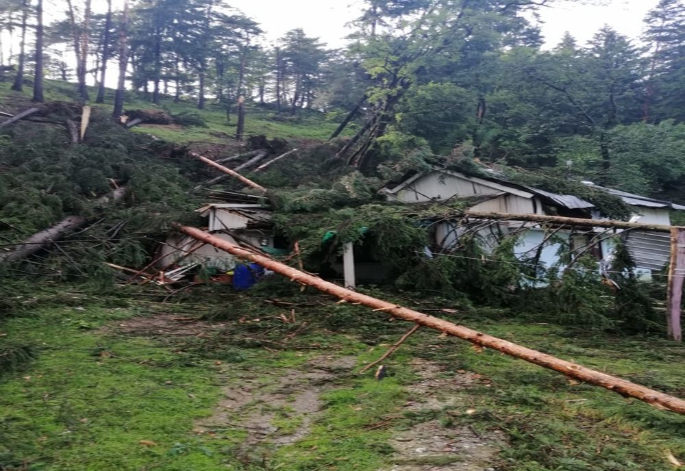 Efectele furtunii de ieri: curți inundate, arbori doborâți și peste 1.000 de locuitori rămași fără curent electric