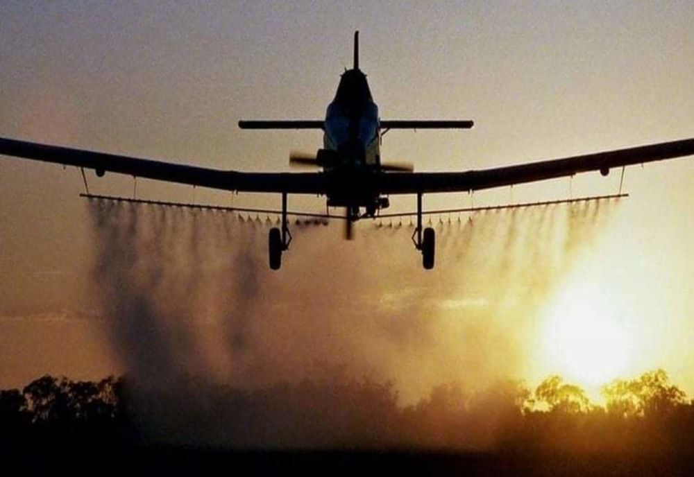 Începe dezinsecția aeriană în Roman