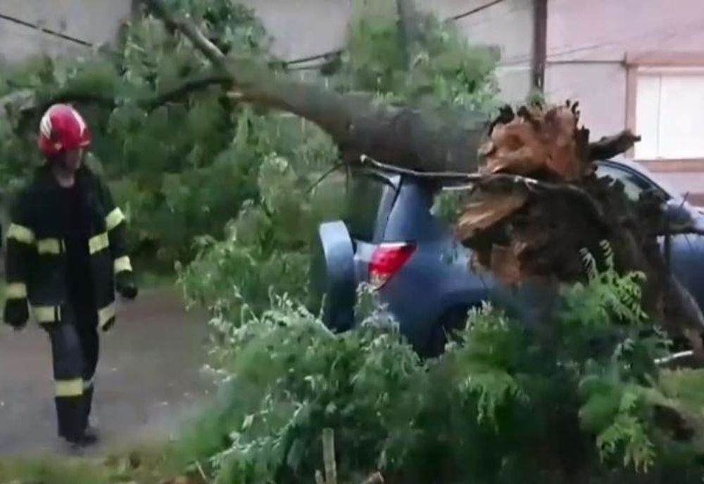 Intervenție ISU în Bicaz: un copac a căzut peste un autoturism