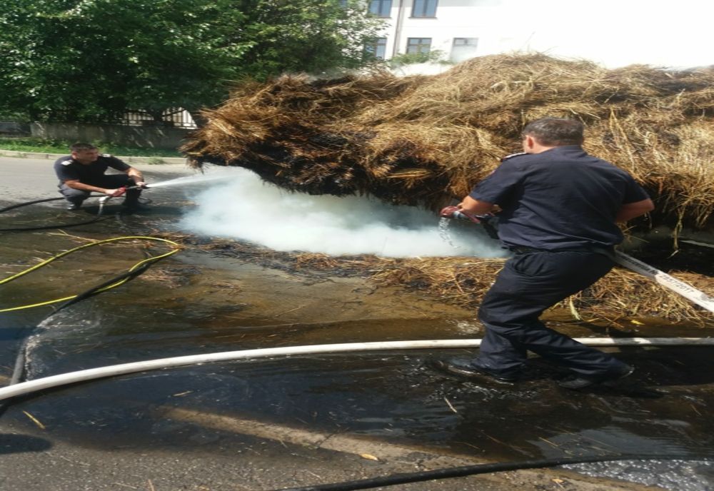 Doi adolescenți au incendiat o căruță cu fân