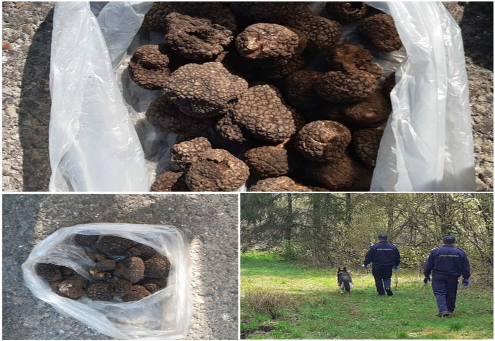 Căutători de „diamante negre”  sancționați cu 4.000 de lei de jandarmii montani