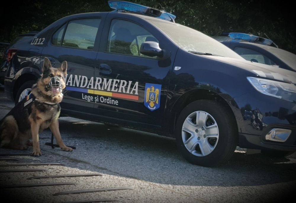 Bilanțul jandarmilor după un weekend prelungit