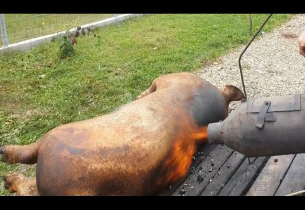 Ai grijă să nu transformi Ignatul într-o tragedie! Sfaturi de la pompieri