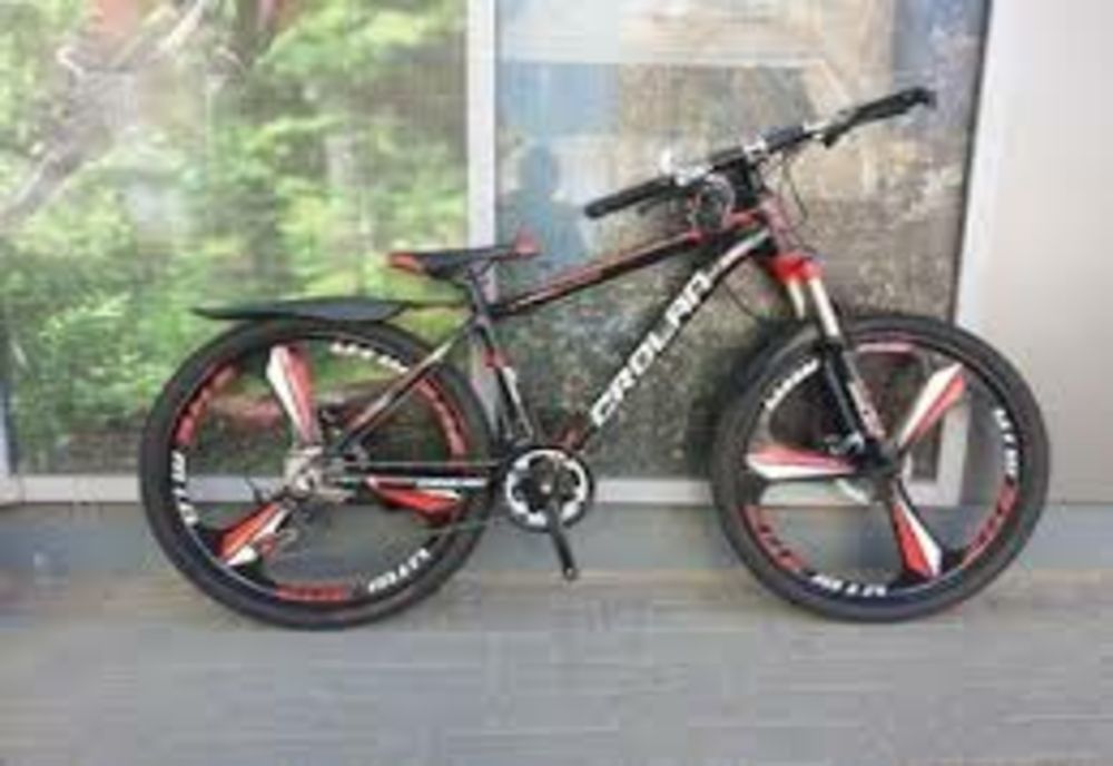 Cuplu de hoți din Iași, depistați în Roman când încercau să vândă o bicicletă furată