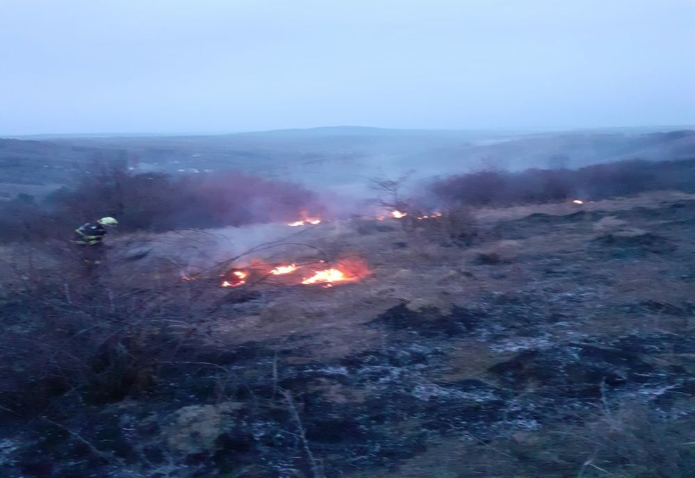 Incendiu de vegetaţie uscată în comunele Crăcăoani și Bălțătești
