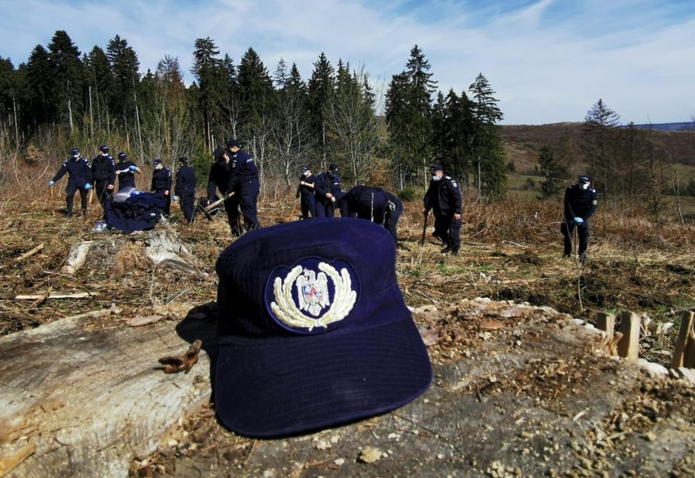 „171 de stejari pentru România” sădiți de jandarmii nemțeni, câte unul pentru fiecare an de la înființarea Jandarmeriei Române