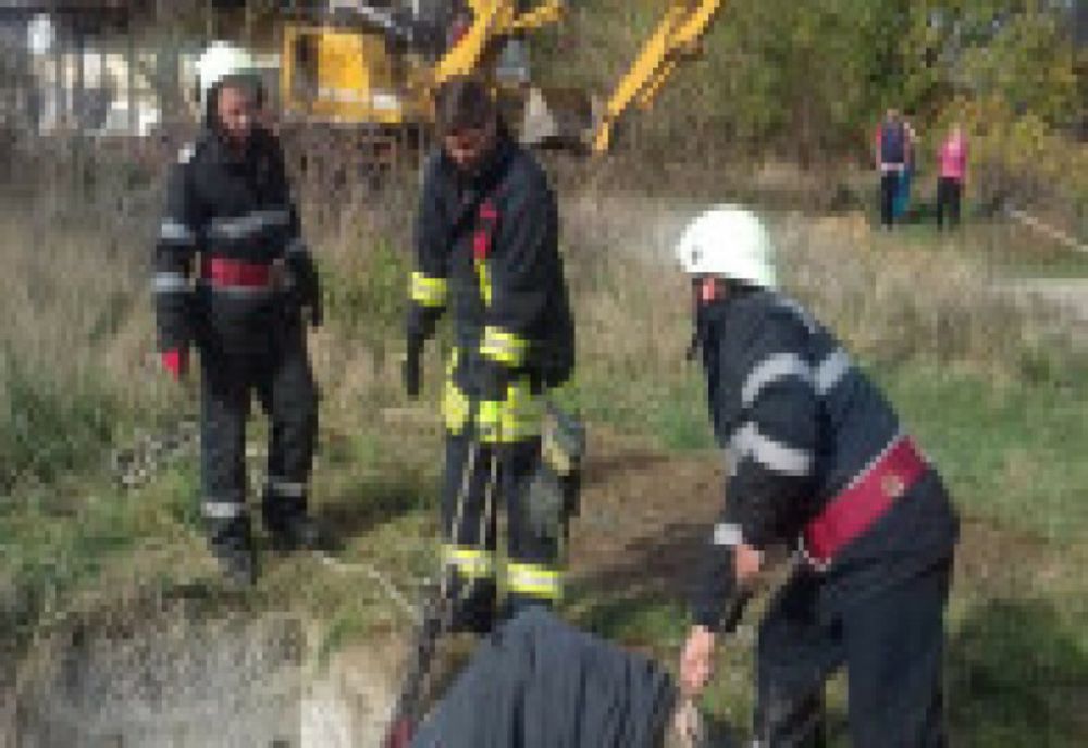 Și-a găsit sfârșitul într-o fosă plină cu apă