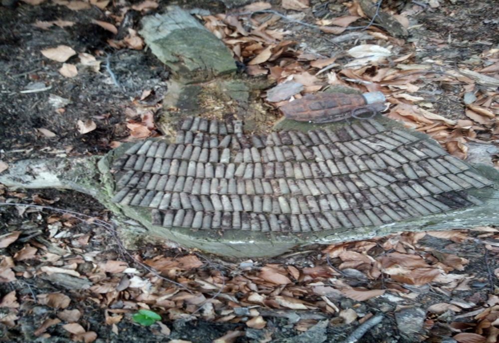 Misiune pirotehnică în pădurea Poiana din comuna Brusturi  