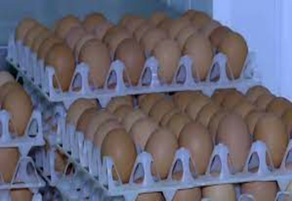 Salmonela, confirmată într-o fermă de păsări din Neamț