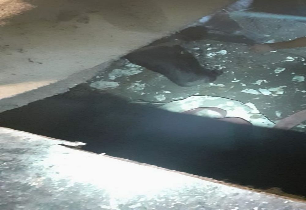 Bovină, salvată dintr-o fosă dezafectată