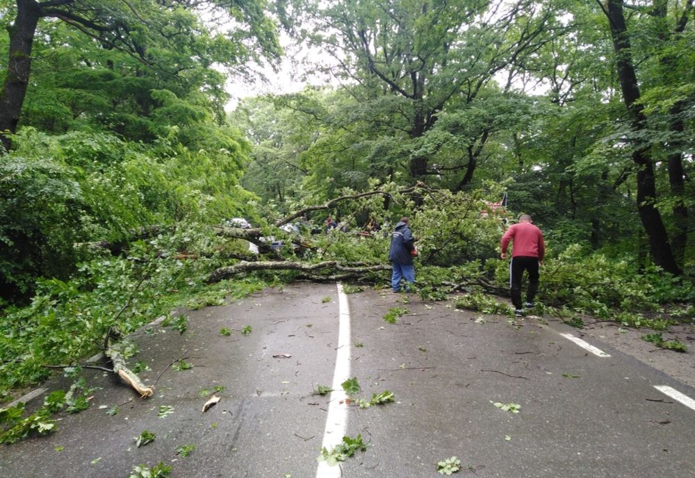 Drum județean blocat de un arbore căzut la Durău