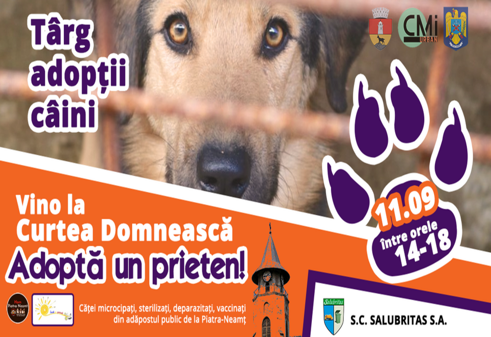 Vino pe 11 septembrie la Curtea Domnească și „Adoptă un prieten!”