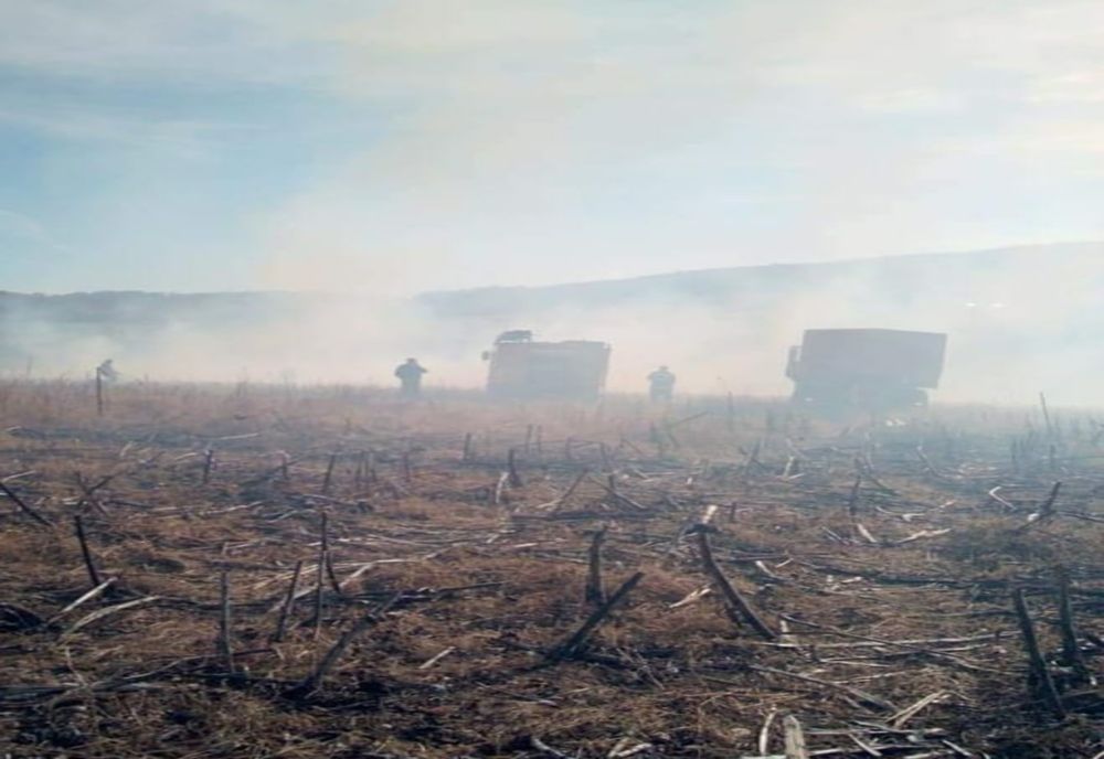 30 hectare de miriște distruse de foc