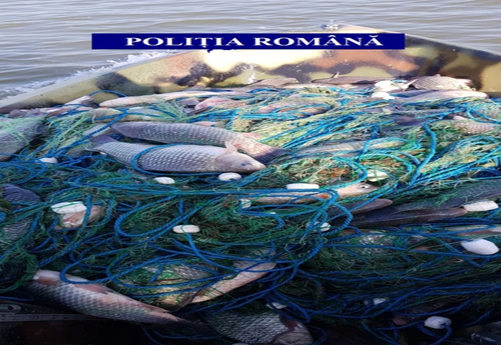 Dosar penal pentru un braconier din Neamț