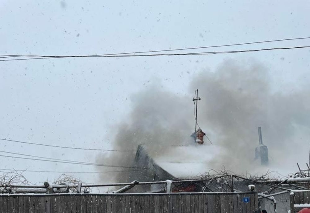 Trei căței și o pisică au pierit într-un incendiu care a izbucnit la o locuință în Piatra-Neamț