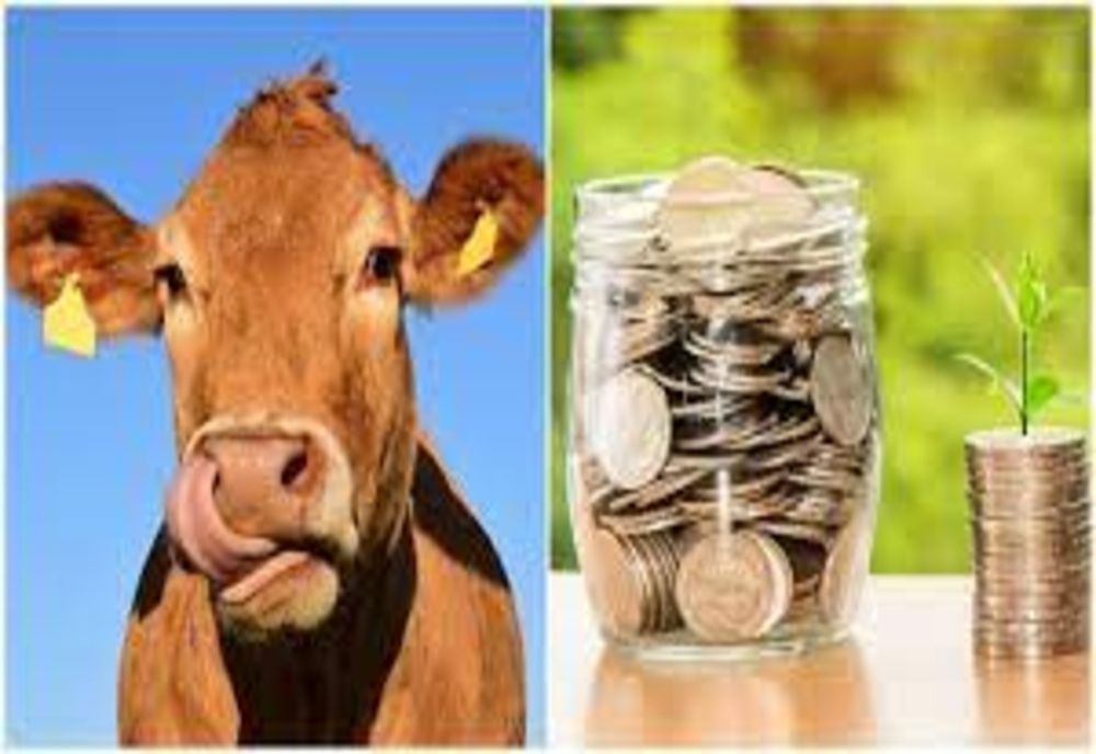 Ajutorul de stat în sectorul creşterii animalelor pentru 2021 a fost majorat la 70 de milioane de lei