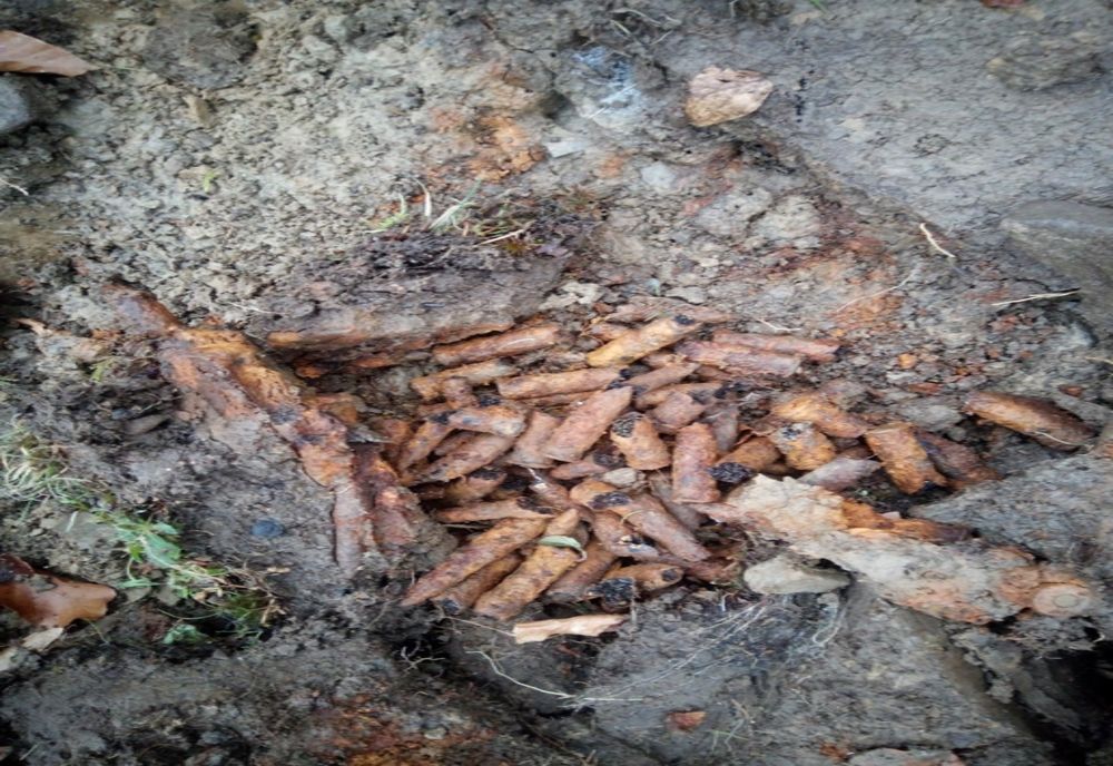 Descoperire periculoasă pe islazul comunei Tarcău