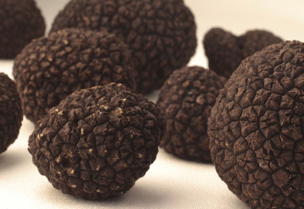 Ce cantitate de trufe negre au găsit polițiștii asupra unui bărbat din Oniceni