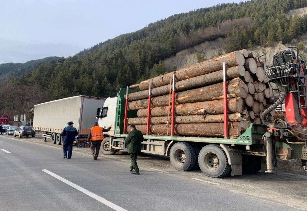 Razii pe drumurile din Neamț pentru prevenirea și combaterea delictelor silvice