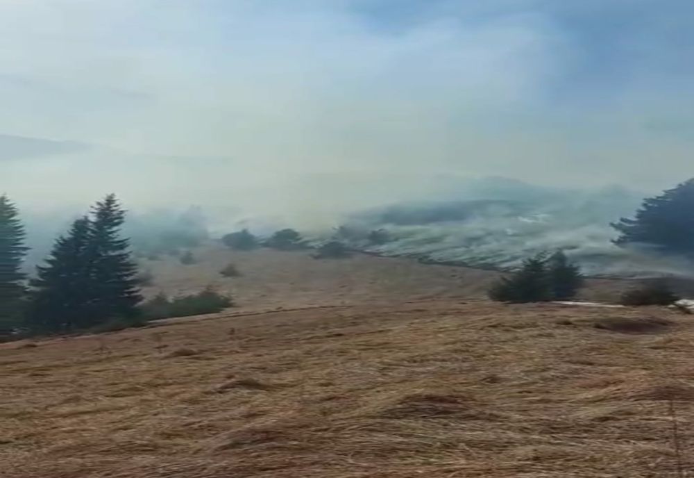 INCENDIU DEVASTATOR la Dămuc! Aproximativ 130 de hectare, afectate