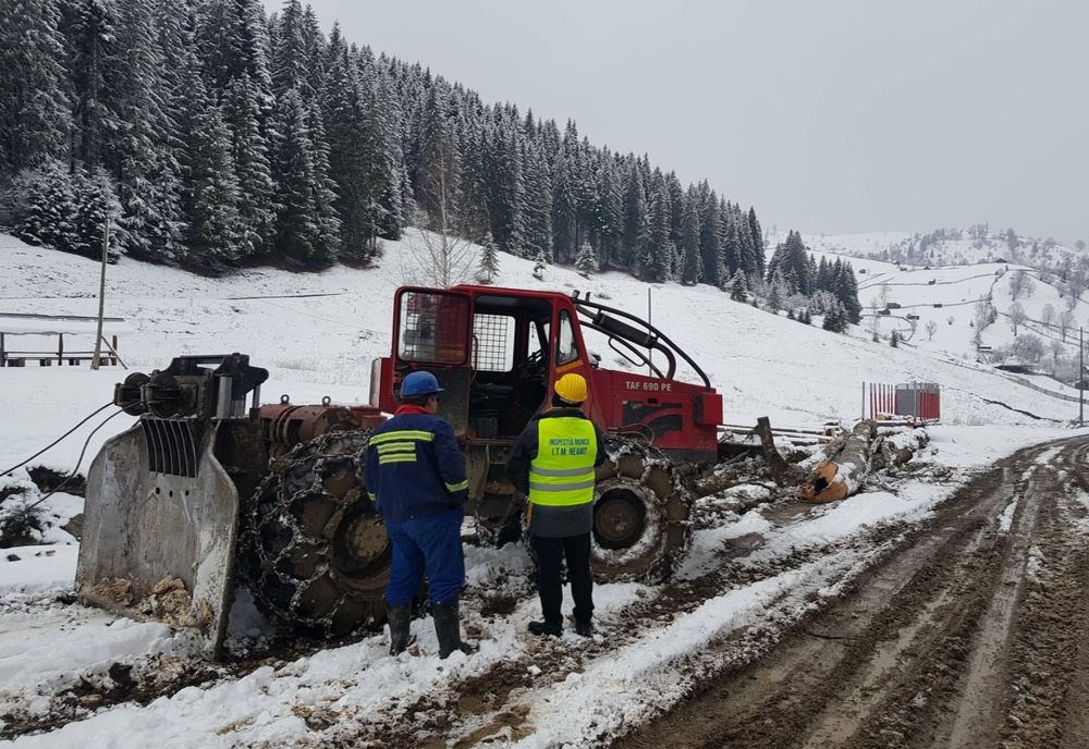 Angajatori din domeniul forestier verificaţi de ITM Neamţ